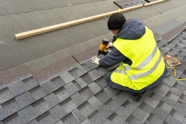 Best Roof Moss and Algae Removal  in Vienna, IL