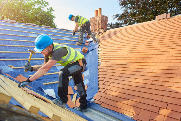 Best Emergency Roof Repair Services  in Vienna, IL